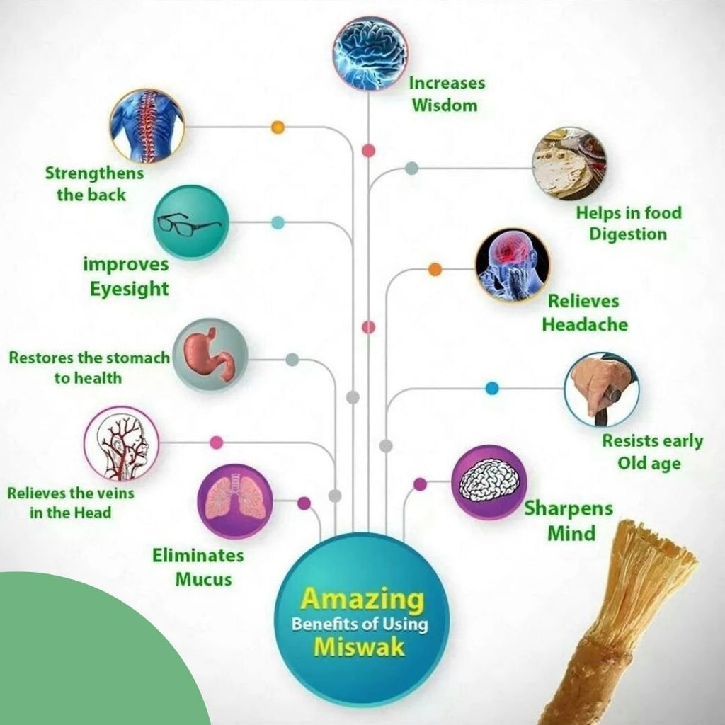 Miswak - Natural Fresh Vegan Dental Whitner Toothbrush (10, 20, 30 Pc) - www.DeeneeShop.com