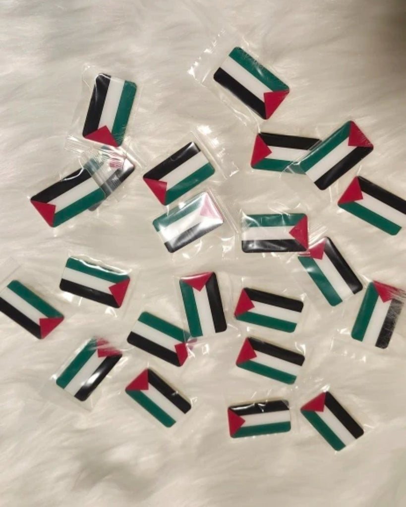 10 Palestine Flag Pin Rectangular Brooch Acrylic Lapel Pinback - www.DeeneeShop.com