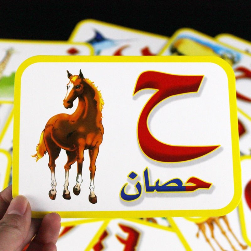 Learning Arabic Alphabet/Letters Early Educational Cognitive Cards Kids Flashcards - www.DeeneeShop.com