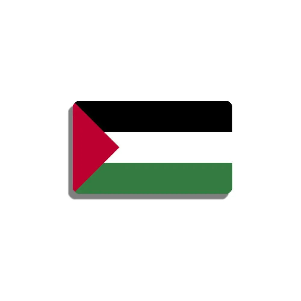 Palestine Flag Pin Rectangular Brooch Acrylic Lapel Pinback - www.DeeneeShop.com